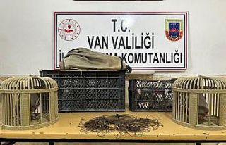 Van’da kafes avcılığı