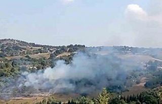 Yalova’da korkutan anız yangını