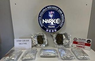 Yalova’da uyuşturucu operasyonu: 1 tutuklama