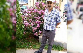 Yamaçtan yuvarlanan ağaç kamyonete çarptı: 1...