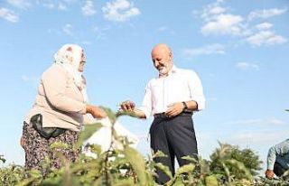 Yamula Patlıcanı Etkinliği’ne Davet