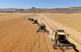 Yan yana dizilen biçerdöverler rekor için hareket...