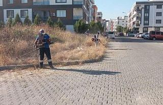 Yangın riskine karşı otlar belediye ekiplerince...