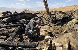 Yangında 7 ineğini kaybeden vatandaş hüngür hüngür...