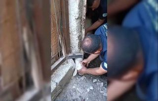 Yaramaz koyunu itfaiye kurtardı