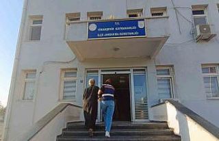 Yasak aşkıyla plan yapıp eşini öldürttü