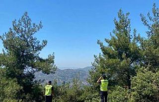 Yasaklı bölgede mangal sefası, jandarmanın radarına...