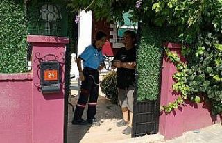 Yavru kedilere ulaşmak için duvarı deldiler