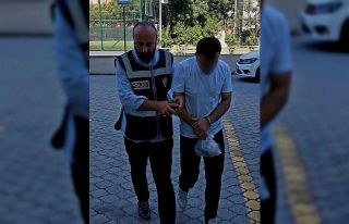 Yayanın ölümüne sebep olan sürücü tutuklandı