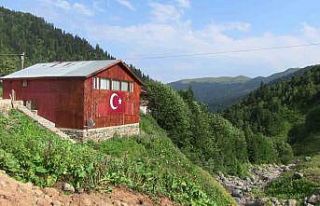 Yayla şenliklerinde Kafkas arı ırkı ve ürünleri...
