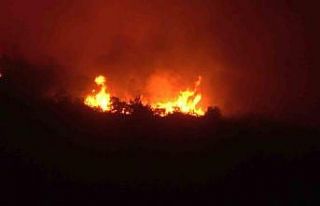 Yenişehir’de kontrol altına alınan yangın rüzgarın...