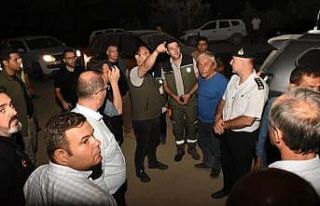 Yenişehir’deki orman yangınından çarpıcı görüntüler...Yangın...