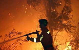 Yeşil vatanın isimsiz kahramanları ‘Ormancılar’