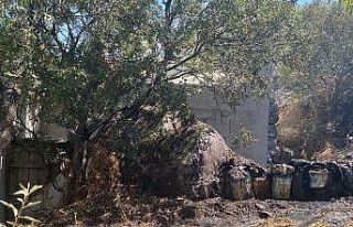 Yılanlı Dağı’ndaki yangın kontrol altına alındı