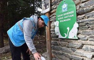 Yıldırım Belediyesi yaz sıcaklarında da sokak...