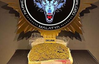 Yolcu otobüsünde 12,5 kilo skunk ele geçirildi