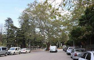 Yolun ortasında kaldı, Tokatlıların buluşma noktası...