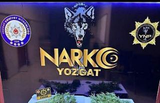 Yozgat’ta uyuşturucu operasyonu: 1 kişi tutuklu