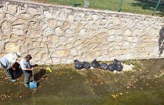 Yüksek ısı sonucu yosun yoğunlaşması olan kanallarda...