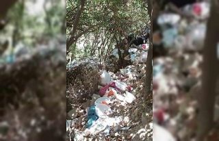 Yüksekovalı dağcılardan örnek davranış