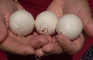 Yumurtanın üzerinde tavuğun sahibinin isim ve soy...