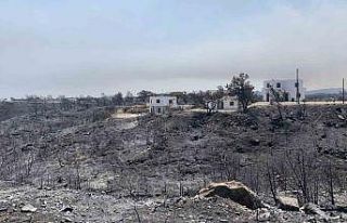 Yunanistan’dan yangınlardan etkilenen turistlere...