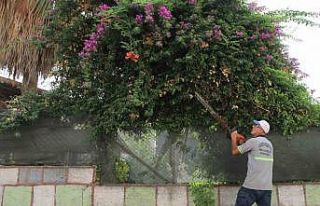 Yüreğir Belediyesi Başkanı Fatih Mehmet Kocaispir: