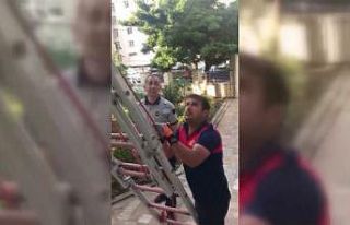 Yuvasından düşen yavru kuş, itfaiye ekiplerince...