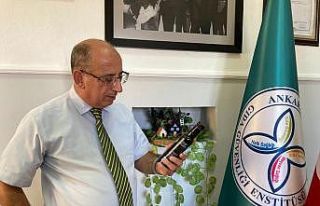 Zeytin ağaçlarını iklim değişikliği vurdu