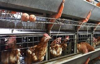 Ziraat Fakültesinden organik ürünler