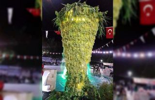 15 Sarıgöl Sultani Üzüm Festivalinde dev üzüm...