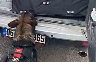 43 ilin geçiş güzergahında uyuşturucuya geçit...