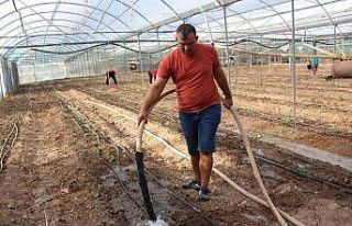 45 bin dekar alanda 130 milyon fidan toprakla buluştu