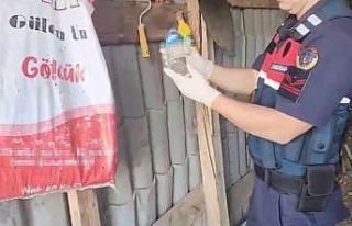 5 ilçede uyuşturucu operasyonu: 5 gözaltı