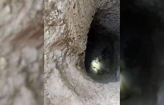 5 metre derinliğindeki kuyuya düşen köpeğin yardımına...