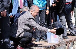 800 bin yavru sazan balığı suyla buluşturuldu