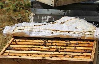 89 Nüfuslu köyde keşfedildi Türkiye’nin ilk...