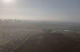 Adana güne sisle uyandı