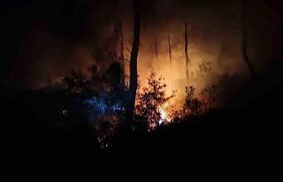 Adana’da aynı bölgede bir haftada ikinci orman...