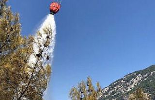 Adana’da orman yangını söndürüldü