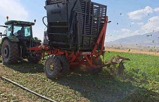 Adilcevaz’da pancar sökümüne başlandı