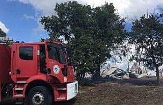 Ağılda çıkan yangın ormana sıçramadan söndürüldü