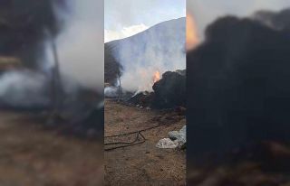 Ağrı’da bin 500 balya saman yandı