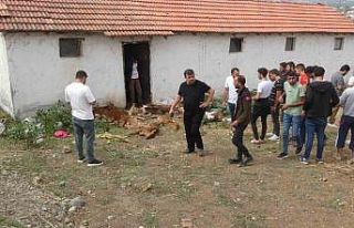 Ahırda bulunan 11 buzağı telef oldu, 4’ü yaralandı