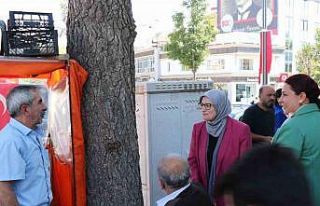 AK Partili Ünsal: "Yeni dönemi hep birlikte...