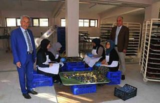 Akşehir Belediyesi meyve kurutma tesisinde ürün...