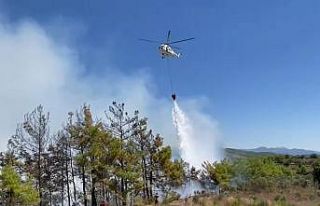 Alanya’daki orman yangını karadan ve havadan müdahaleyle...