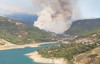 Alanya’daki orman yangını kontrol altına alındı