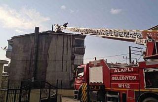 Alaplı’da fırın bacası yandı, dumanı görenler...