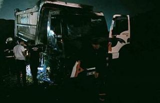 Alevlere teslim olan kamyon talaş yüklü kamyon...